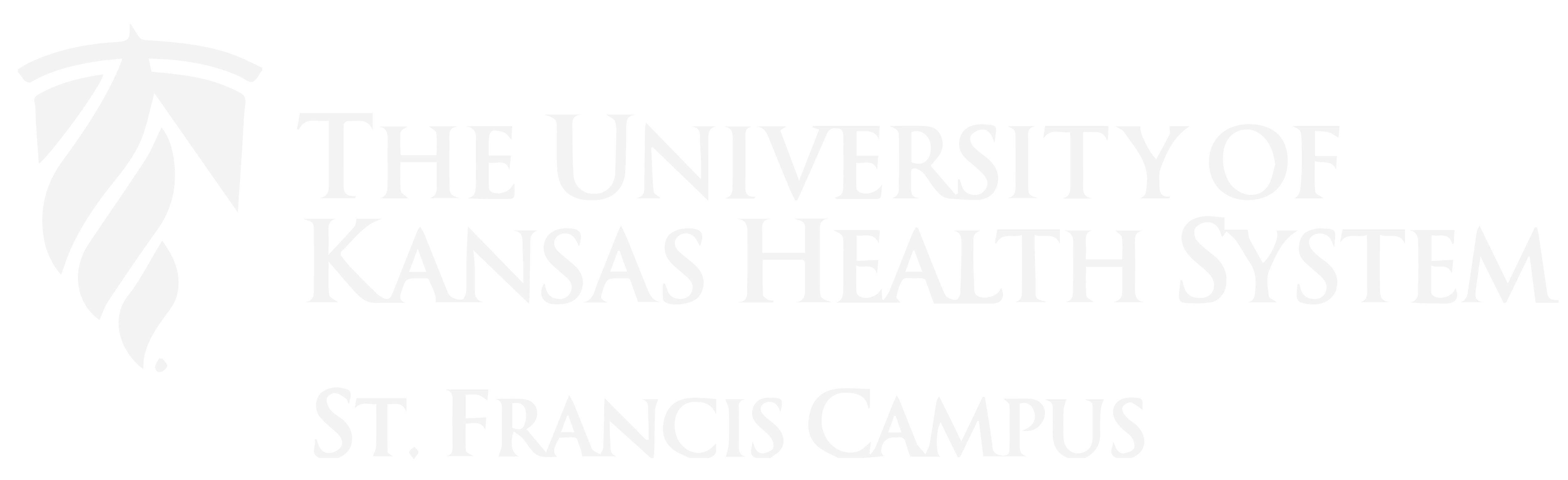 KU St Francis White01 Greater Topeka Partnership